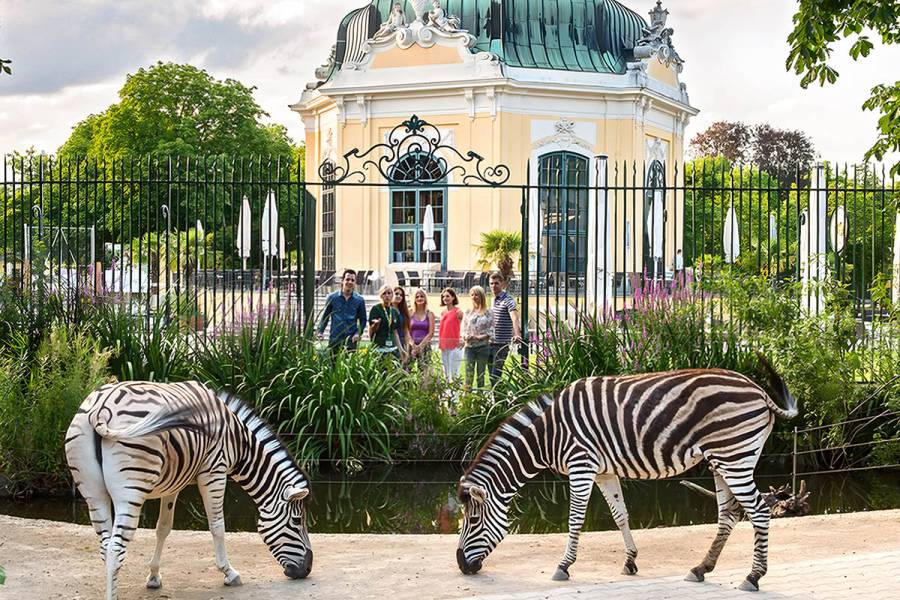 Találkozás a Panda-sztárokkal
